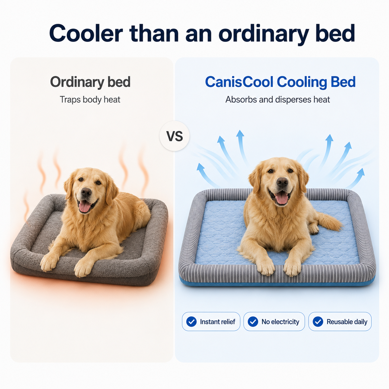 Comparison between an ordinary dog bed and the Arctic Blue CanisCool cooling bed