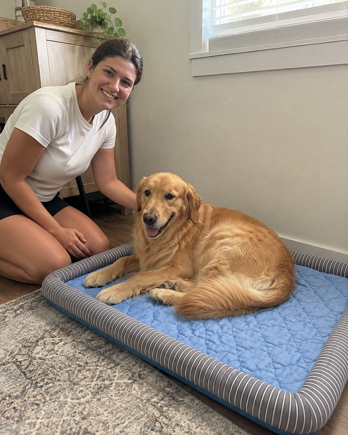 Golden retriever relaxing on a CanisCool cooling bed beside its owner