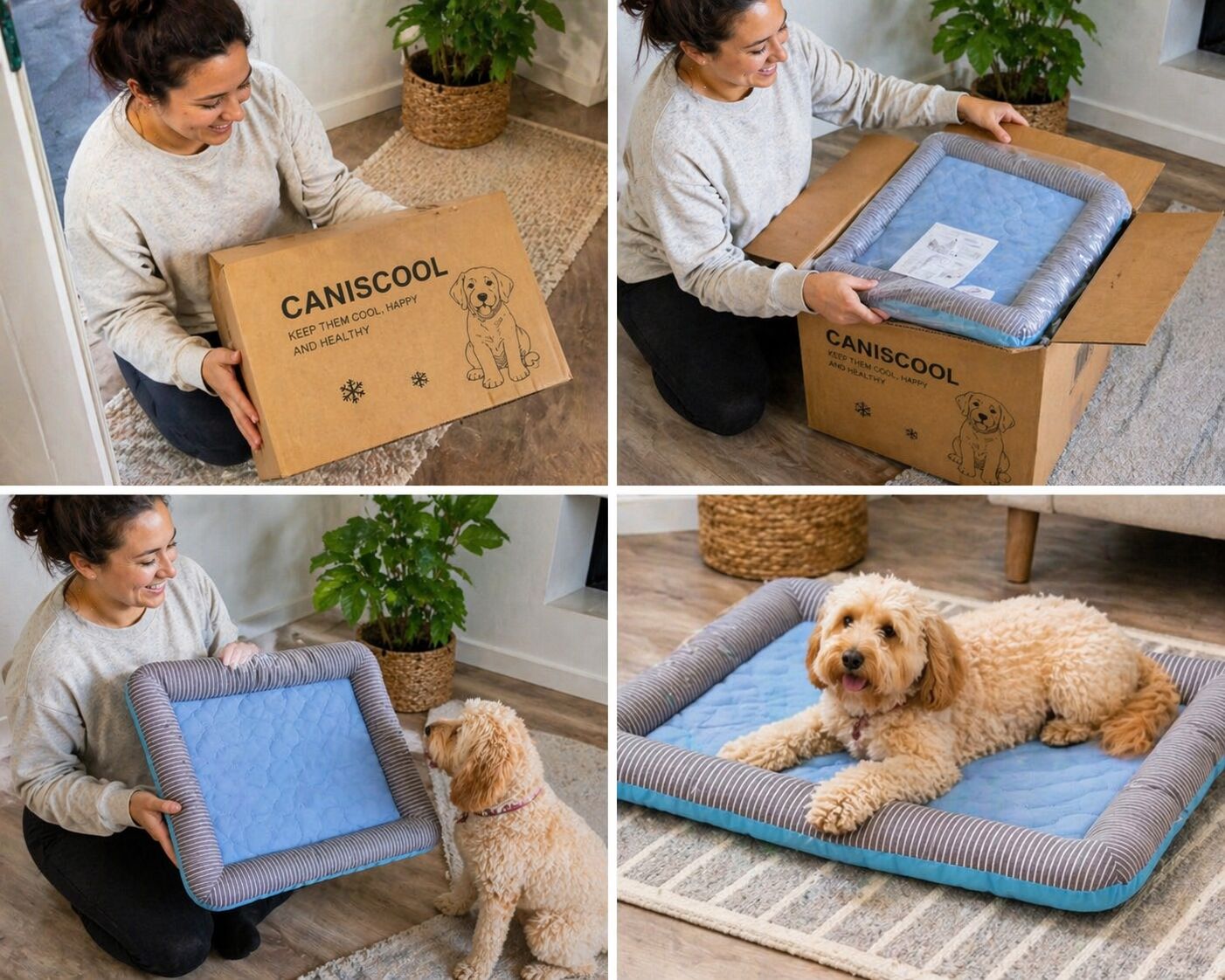 CanisCool unboxing collage with happy dog