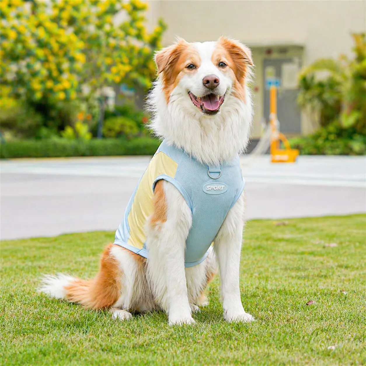Cooling Vest